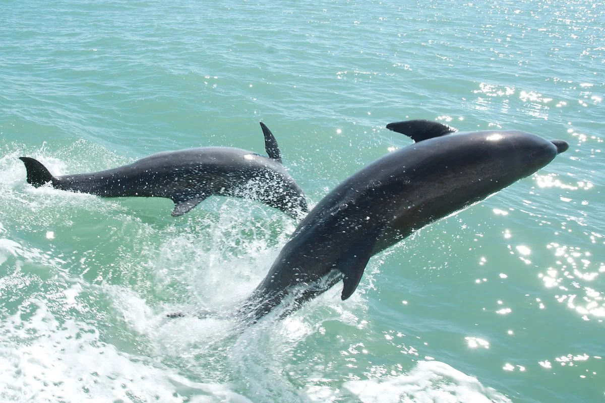 Flickr_Pete_Markham.jpg?type=w1200