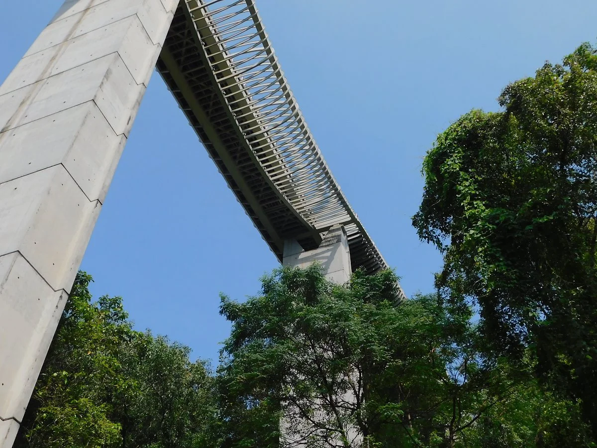 41318004212_e16ed54f9b_k.jpg?type=w1200