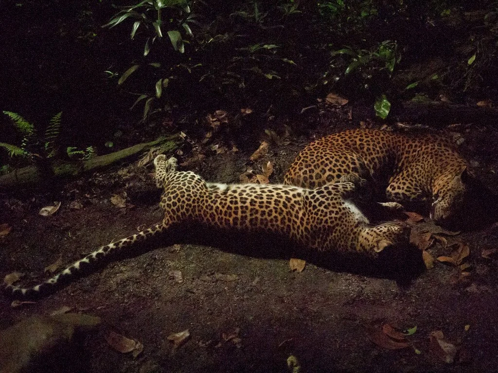 5377137108_3eb67bcb69_b.jpg?type=w1200