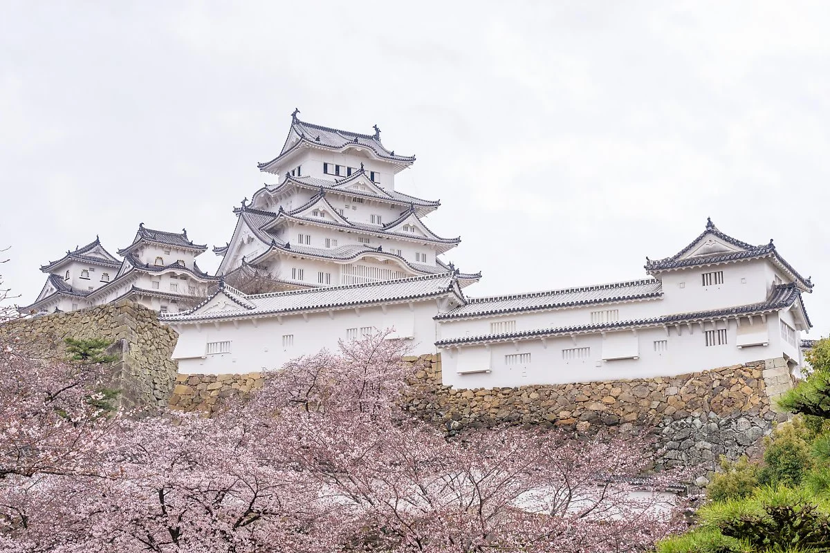 34810260801_9df7597106_k.jpg?type=w1200