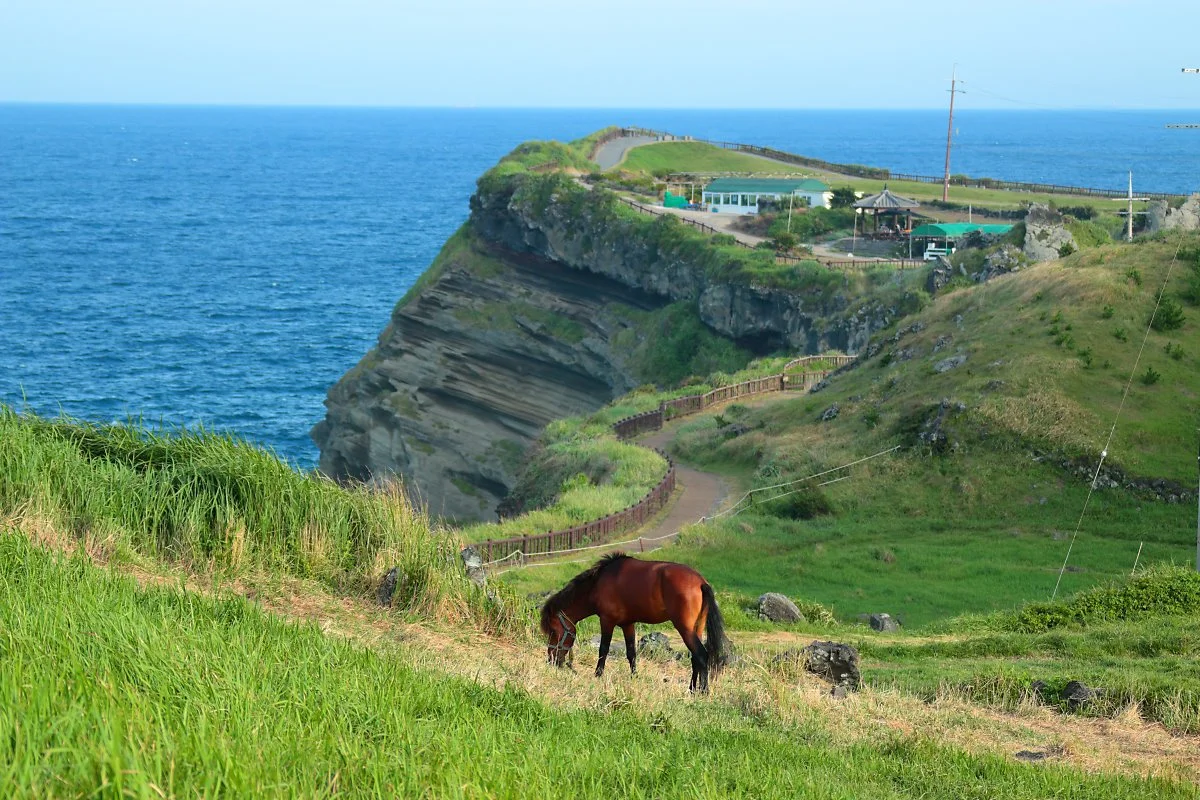 11%EC%9B%94%EC%A0%9C%EC%A3%BC%EB%8F%84%EC%97%AC%ED%96%89%EC%BD%94%EC%8A%A4.jpg?type=w1200