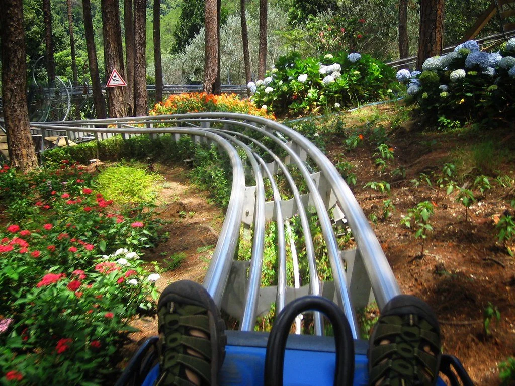 514796248_fa902a8d5a_b.jpg?type=w1200