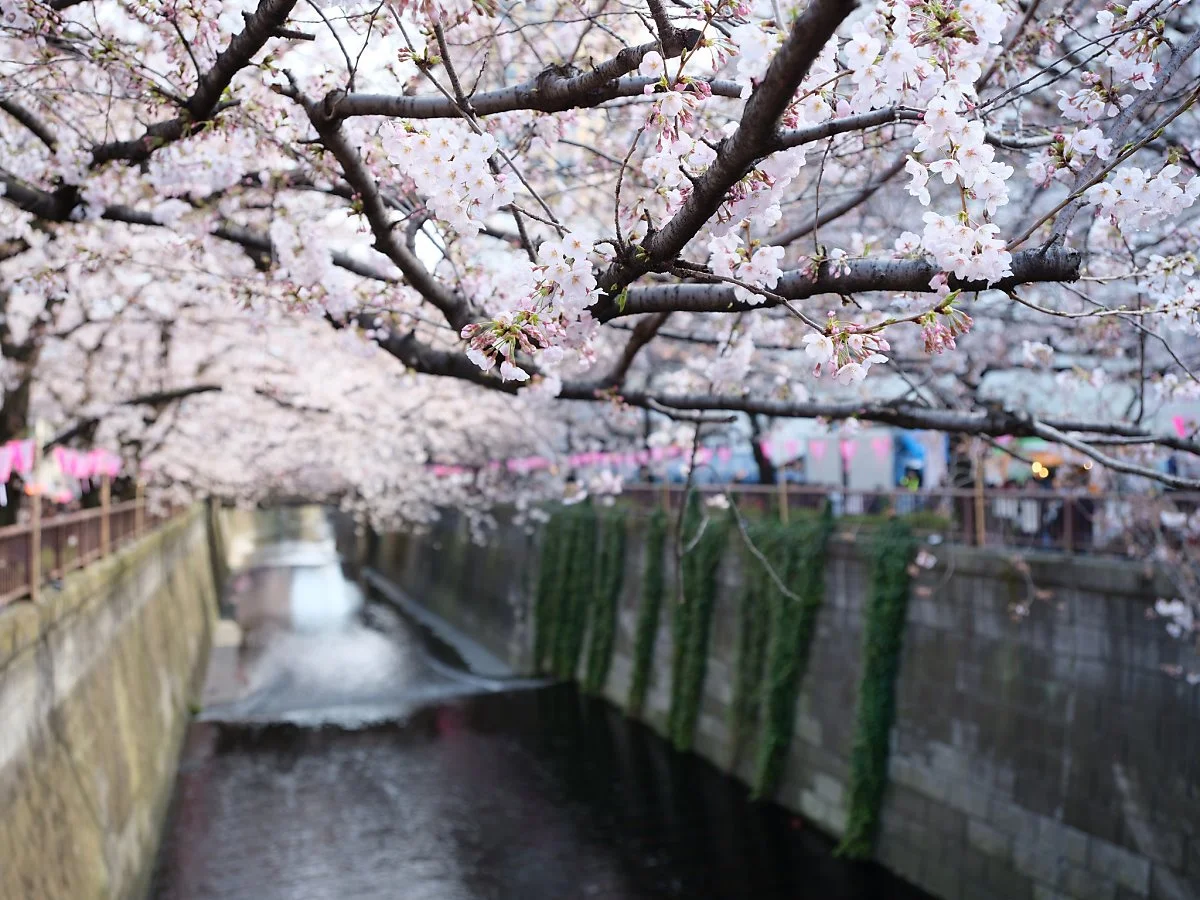 33003262343_9f8f98d60f_k.jpg?type=w1200