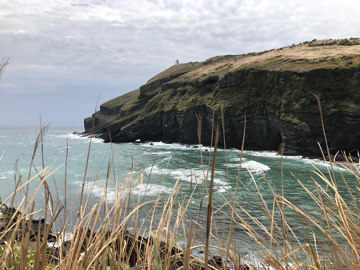 40716103354_de3c0b252a_k.jpg?type=w1200