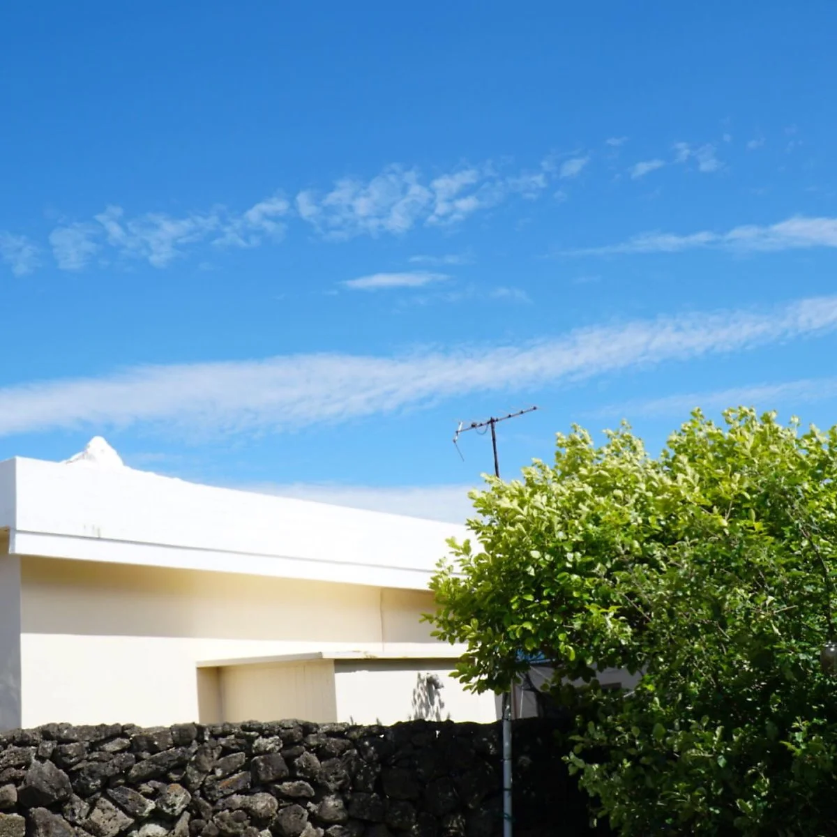 %EC%A0%9C%EC%A3%BC%EB%8F%84_%ED%98%BC%EC%9E%90%EC%97%AC%ED%96%89_%281%29.jpg?type=w1200