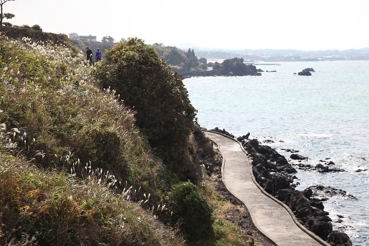 10422452826_f9a2385db0_k.jpg?type=w1200