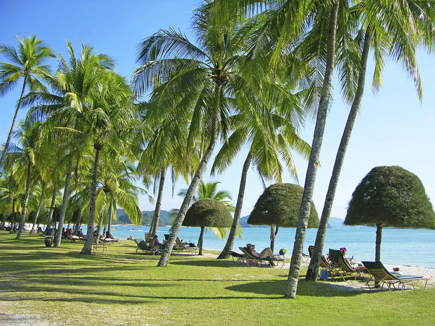 GettyImages-133818671.jpg?resize=800px:99999px&quality=75