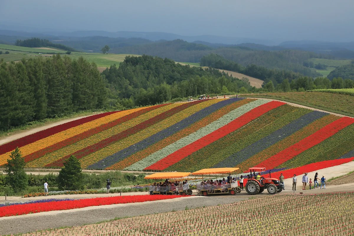 20837004398_e3448397b7_k.jpg?type=w1200