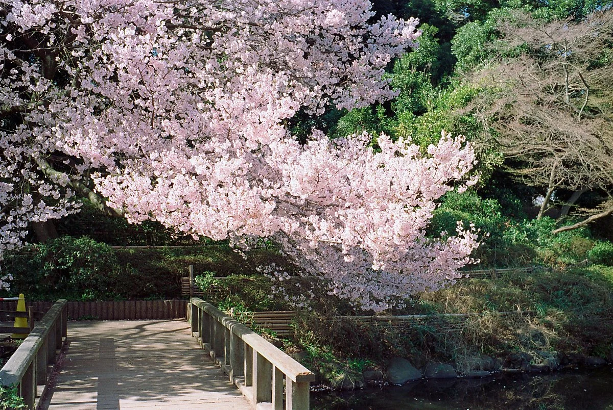 16898709168_46dbc5c35a_k.jpg?type=w1200