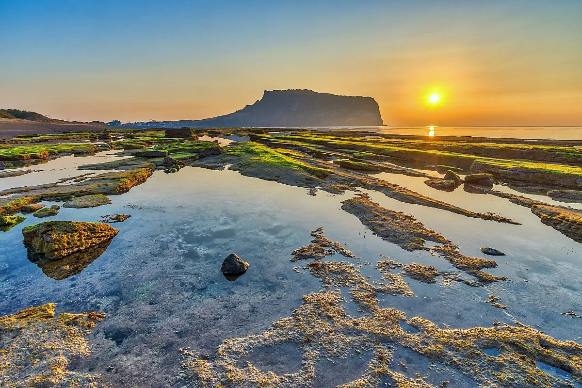 %EA%B4%91%EC%B9%98%EA%B8%B0%EC%9D%BC%EB%AA%B0_%281%29.jpg?type=w1200