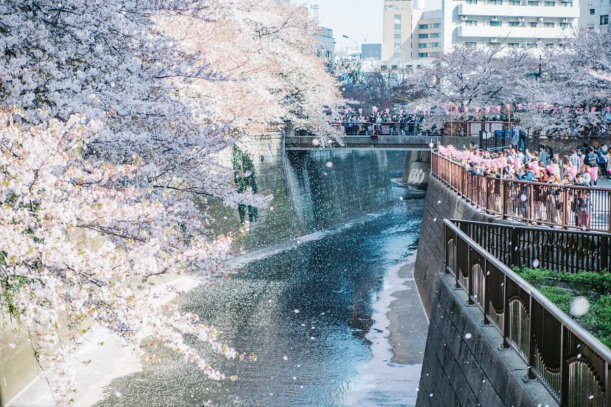 29823667488_eee503164a_k.jpg?type=w1200