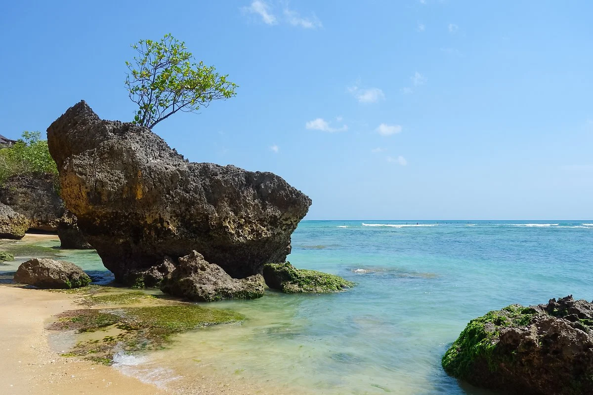 24039262151_8088556642_k.jpg?type=w1200