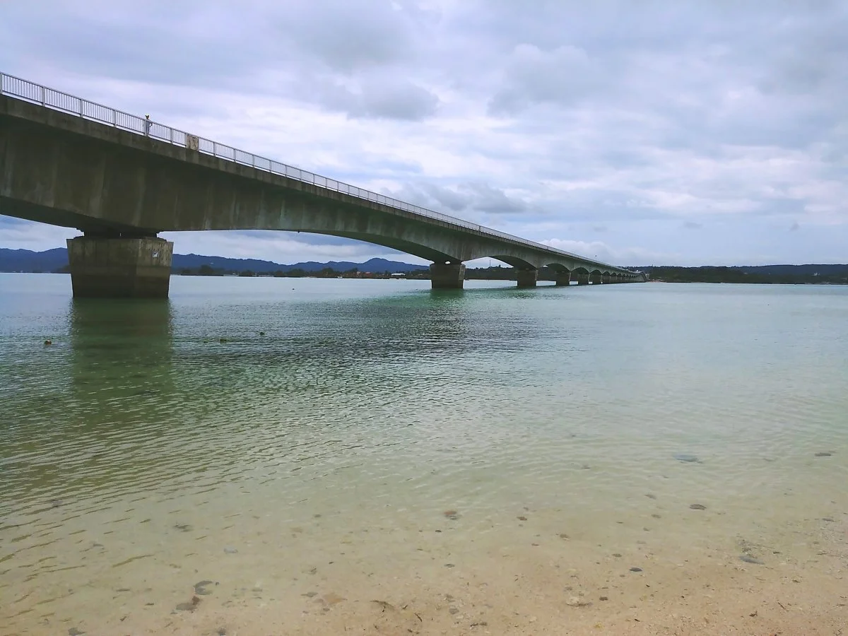 image_5426137431527658714309.jpg?type=w1200