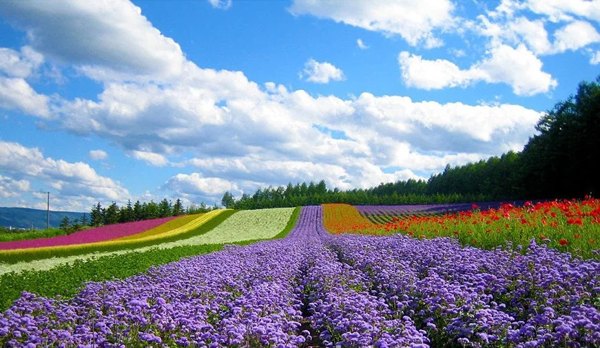 23414600626_d28f686061_b.jpg?type=w1200