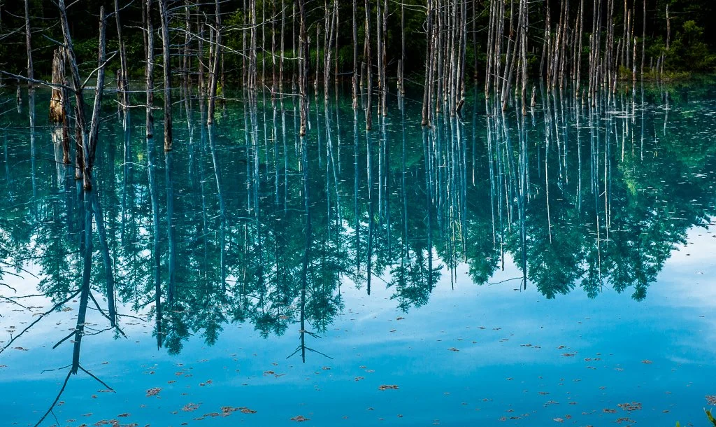 Flickr_%E5%A7%90%E5%A4%AB_%E5%90%B3.jpg?type=w1200