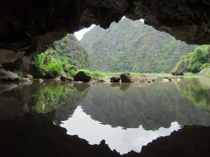 %EB%8B%8C%EB%B9%88_Flickr_ronan_crowley.jpg?type=w1200