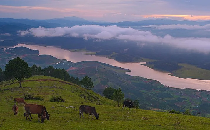 Le_Anh_Tuan.jpg?type=w1200