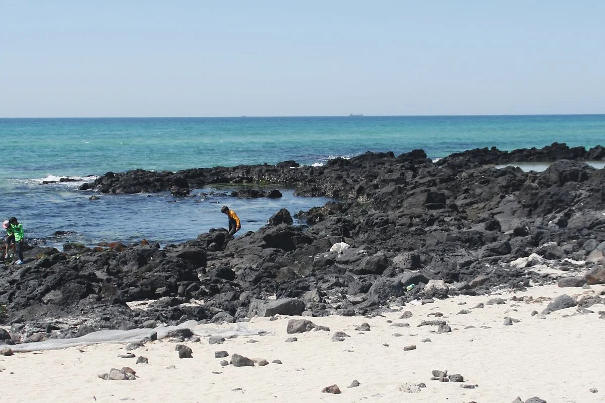 image_9270501011526870457703.jpg?type=w1200