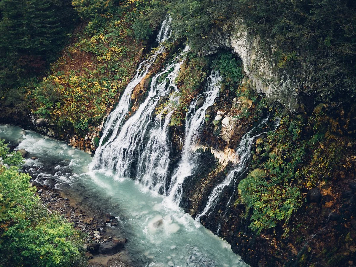 29948720187_9aceb36919_k.jpg?type=w1200