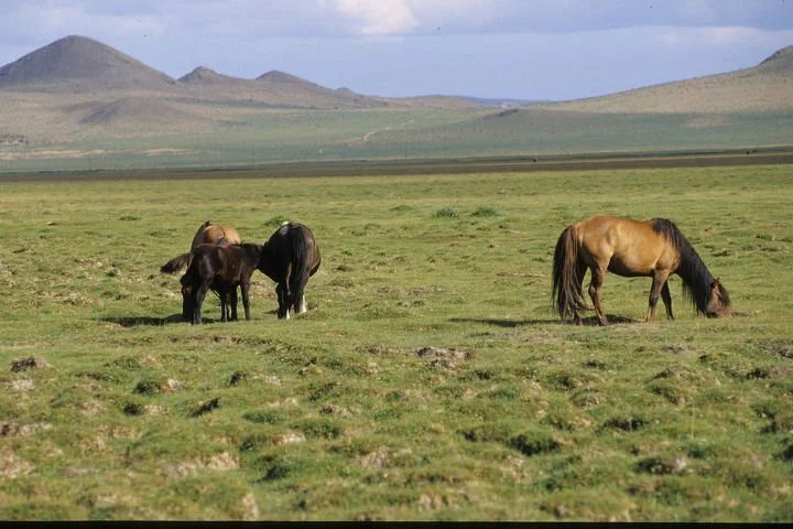 0604_6%EC%9B%94%EC%97%AC%ED%96%89_flickr_Mazzali.jpg?type=w1200