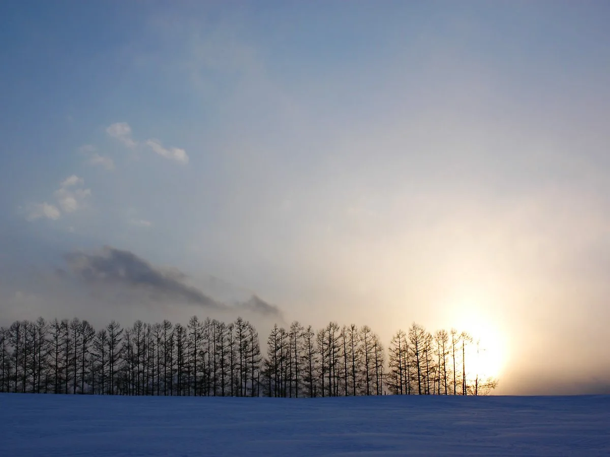 7404982370_3640ee5d64_k.jpg?type=w1200