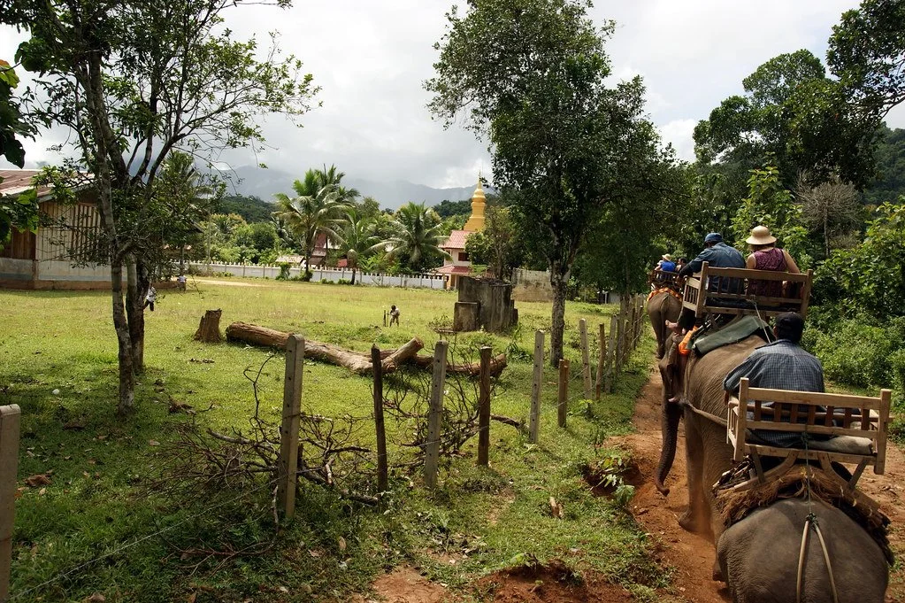 3924330178_069f6bb9cd_b.jpg?type=w1200