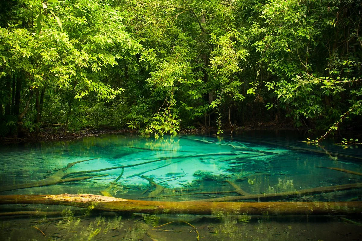 14970209372_45e0628cd3_k.jpg?type=w1200