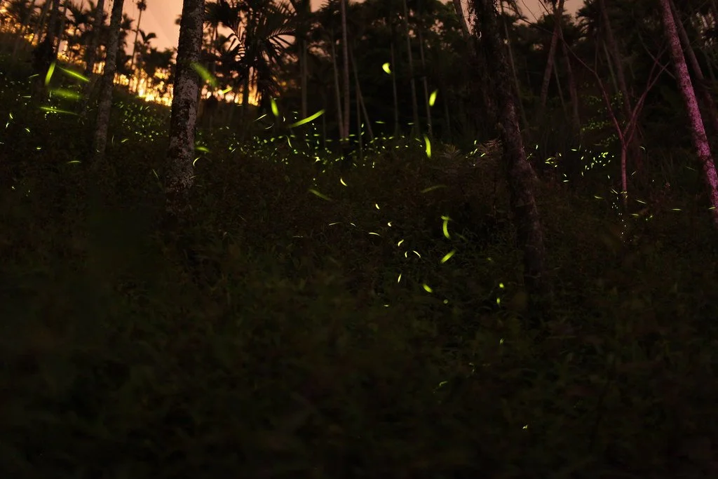 5646065577_08563cfde5_b.jpg?type=w1200