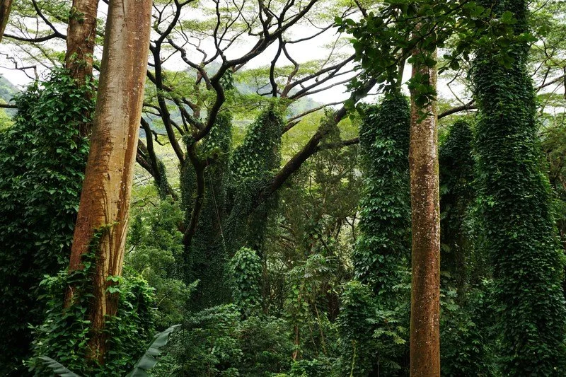 eyeem-26050271-101154031.jpg?type=w1200