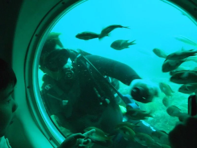 7180125723_aa5a9b025c_c.jpg?type=w1200