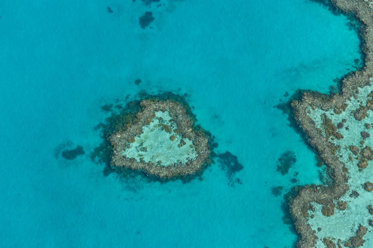 %EC%BC%80%EC%96%B8%EC%A6%88.jpg?type=w1200