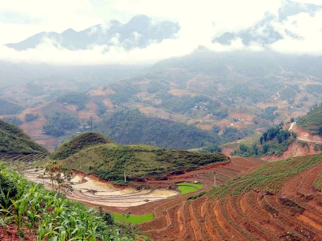 33430027063_25f0a91b11_b.jpg?type=w1200