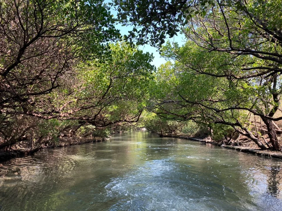 KakaoTalk_20191208_170127407.jpg?type=w1200