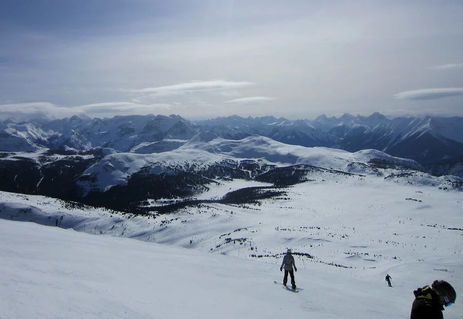 16728474041_d475a48981_b.jpg?type=w1200