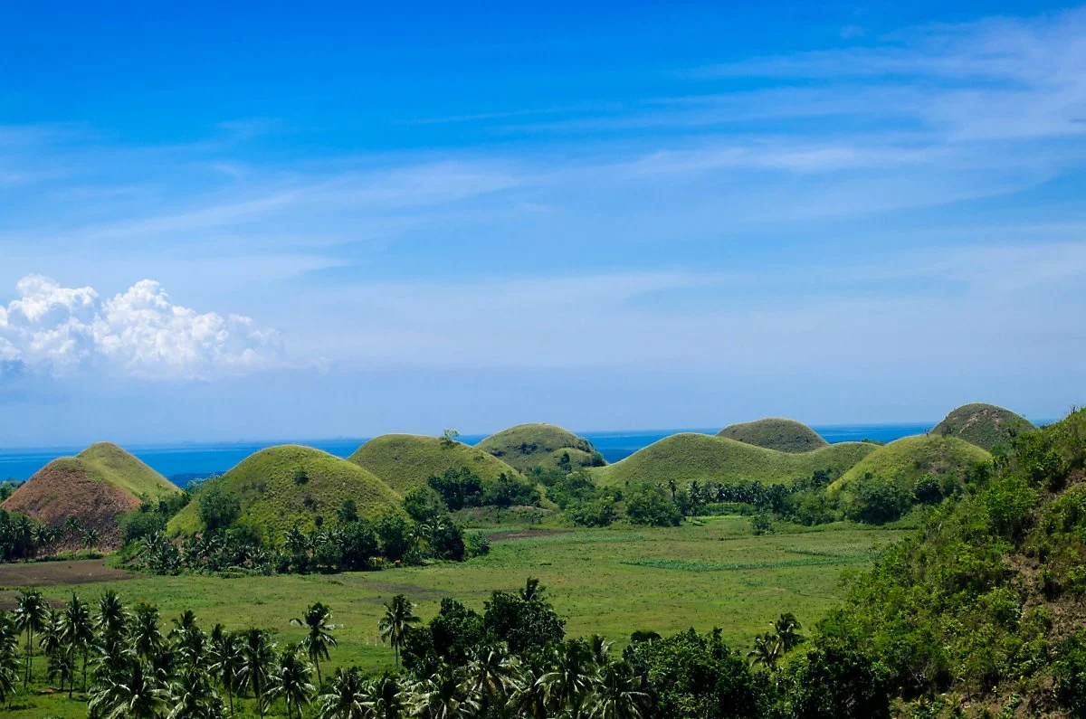 15007779146_a67a06d58a_k.jpg?type=w1200