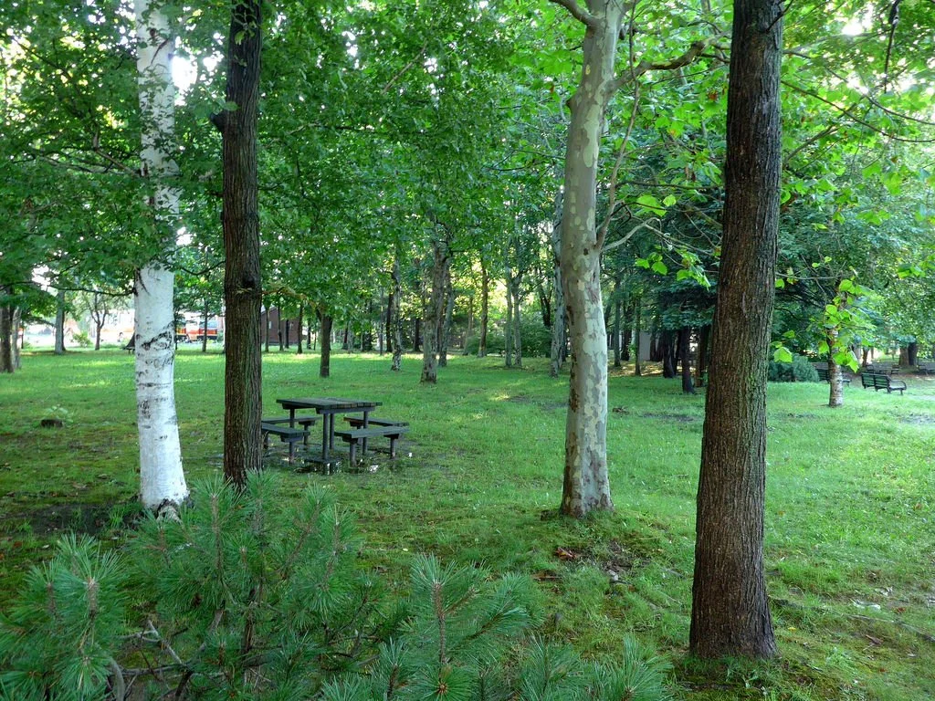 0731_%ED%9B%84%EC%BF%A0%EC%98%A4%EC%B9%B4_pika1935.jpg?type=w1200