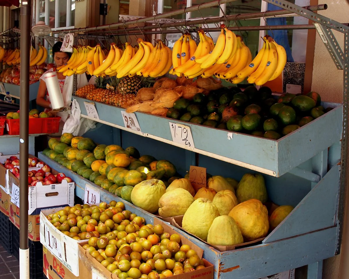 15268210870_dab1963d47_o.jpg?type=w1200