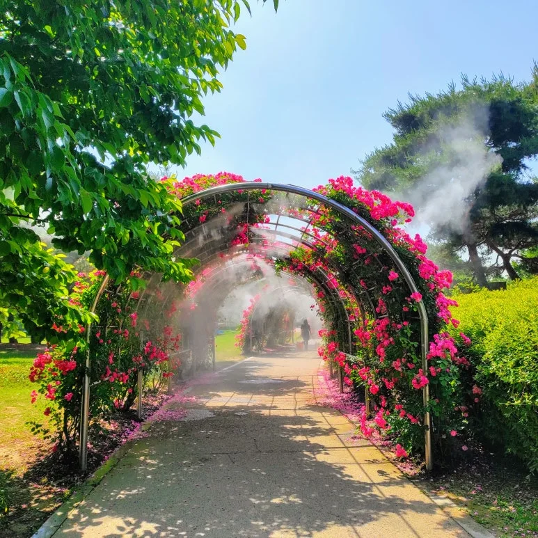 IMG_20250605_101122-EFFECTS.jpg?type=w773