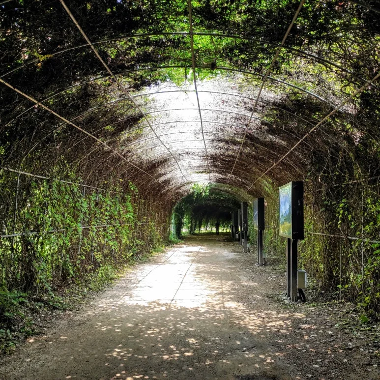 IMG_20250623_110637.jpg?type=w773