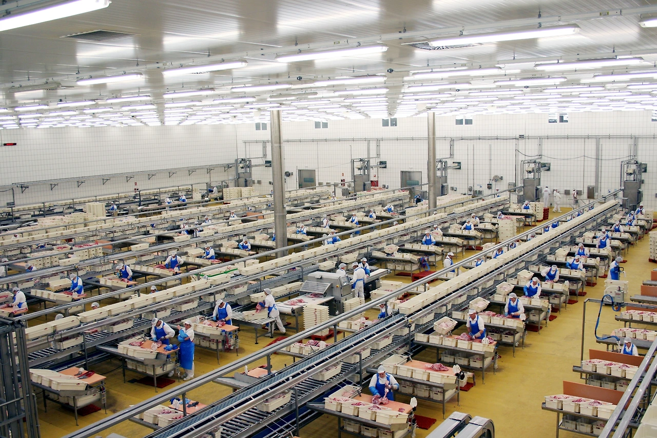 Meat preparation plant.JPG