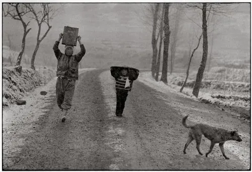 강운구 마을삼부작건새집.jpg