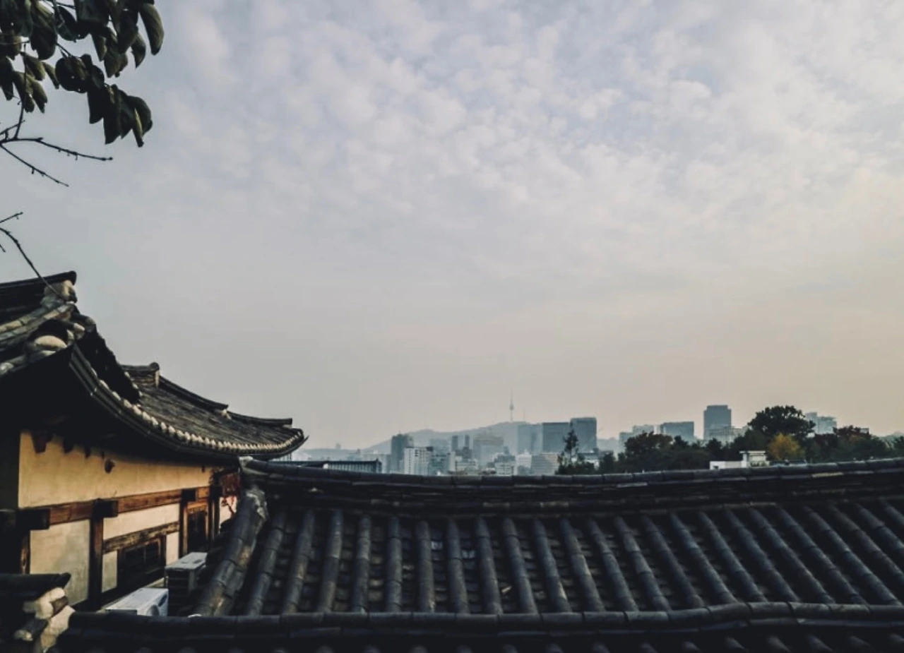 KakaoTalk_Photo_2022-10-24-09-26-03 008.jpeg