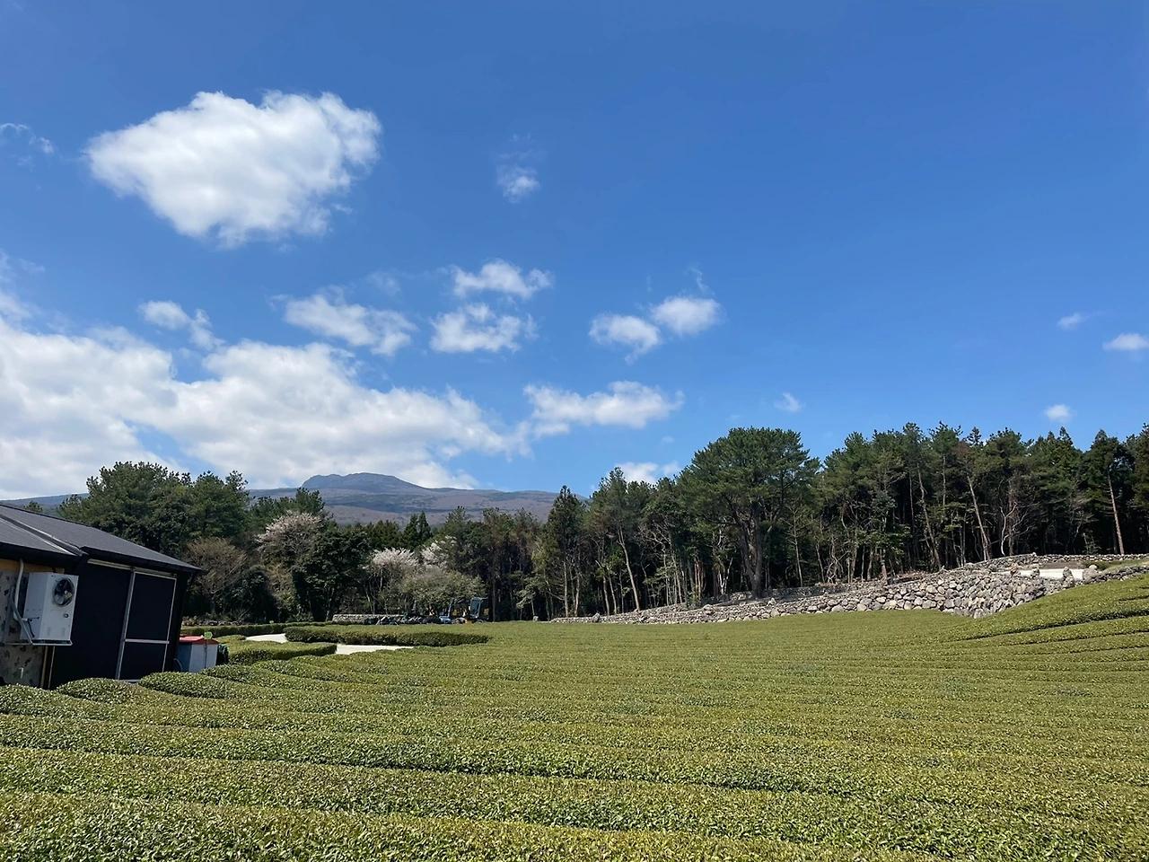 KakaoTalk_Photo_2022-04-06-08-21-15 023.jpeg