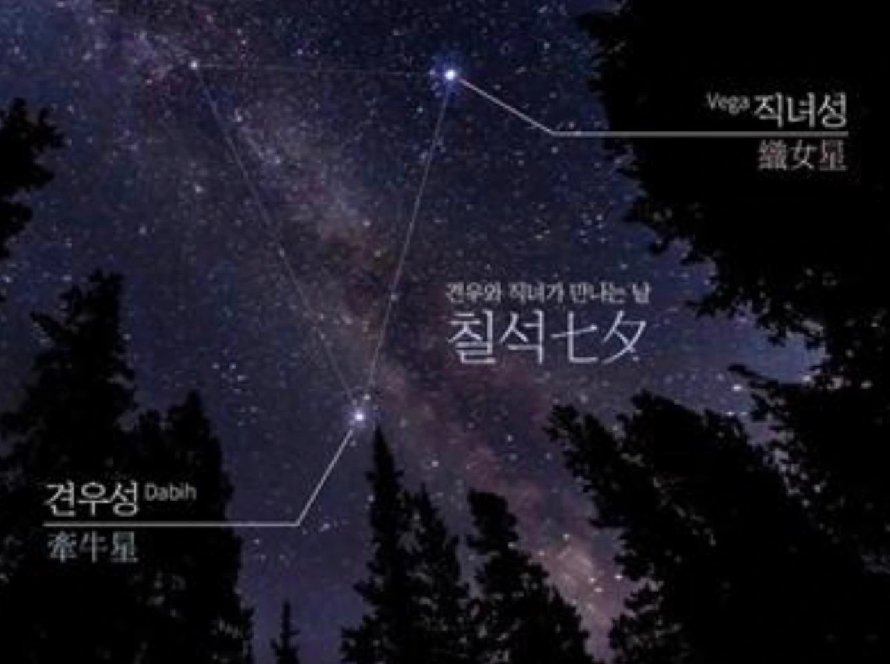 KakaoTalk_Photo_2022-08-04-08-00-20 005.jpeg