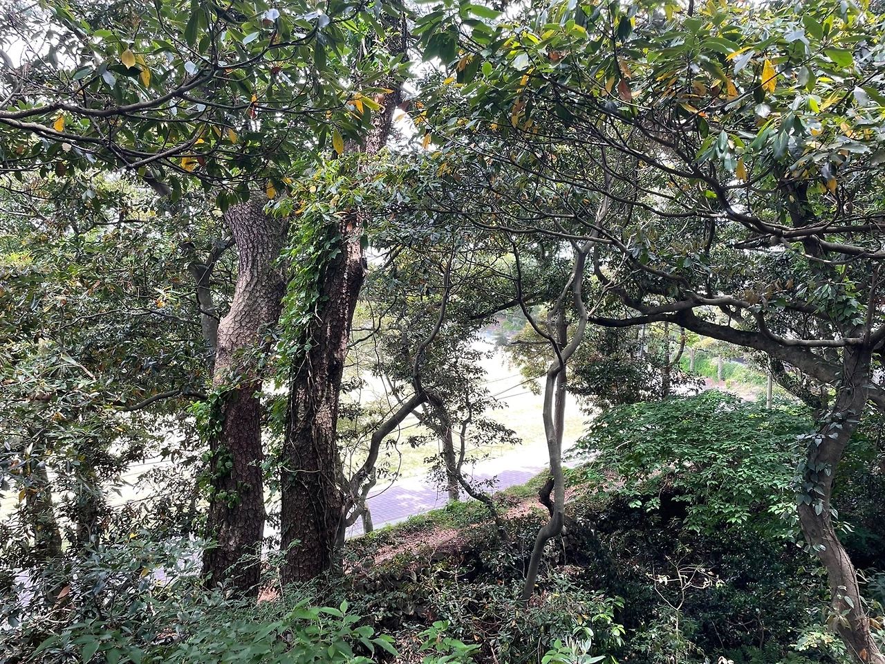 KakaoTalk_Photo_2022-05-30-08-47-02 002.jpeg