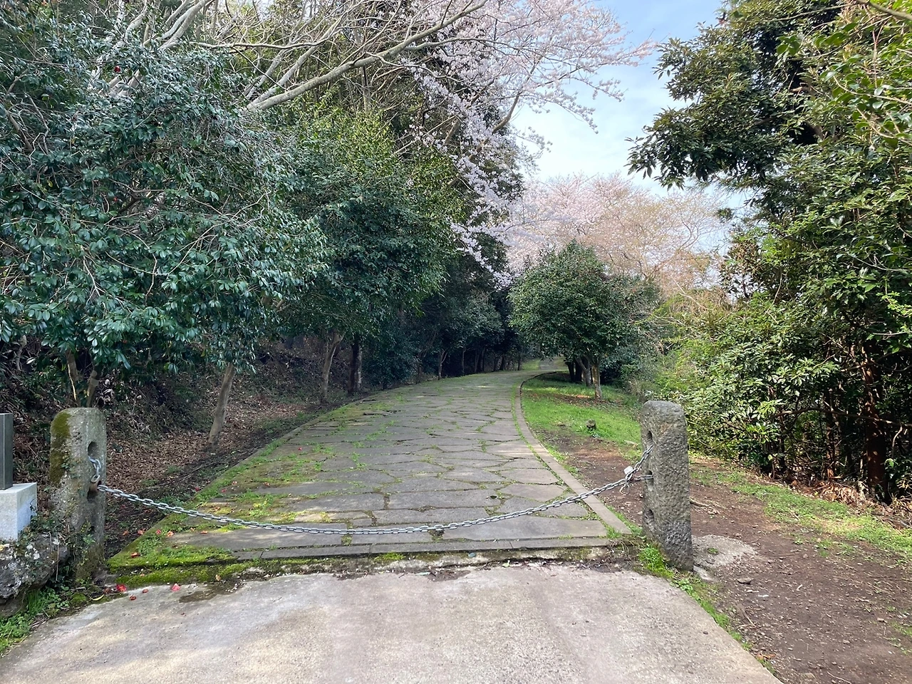 KakaoTalk_Photo_2022-04-06-08-21-10 012.jpeg