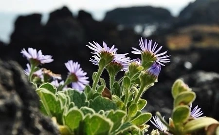 KakaoTalk_Photo_2021-11-01-08-32-58 008.jpeg