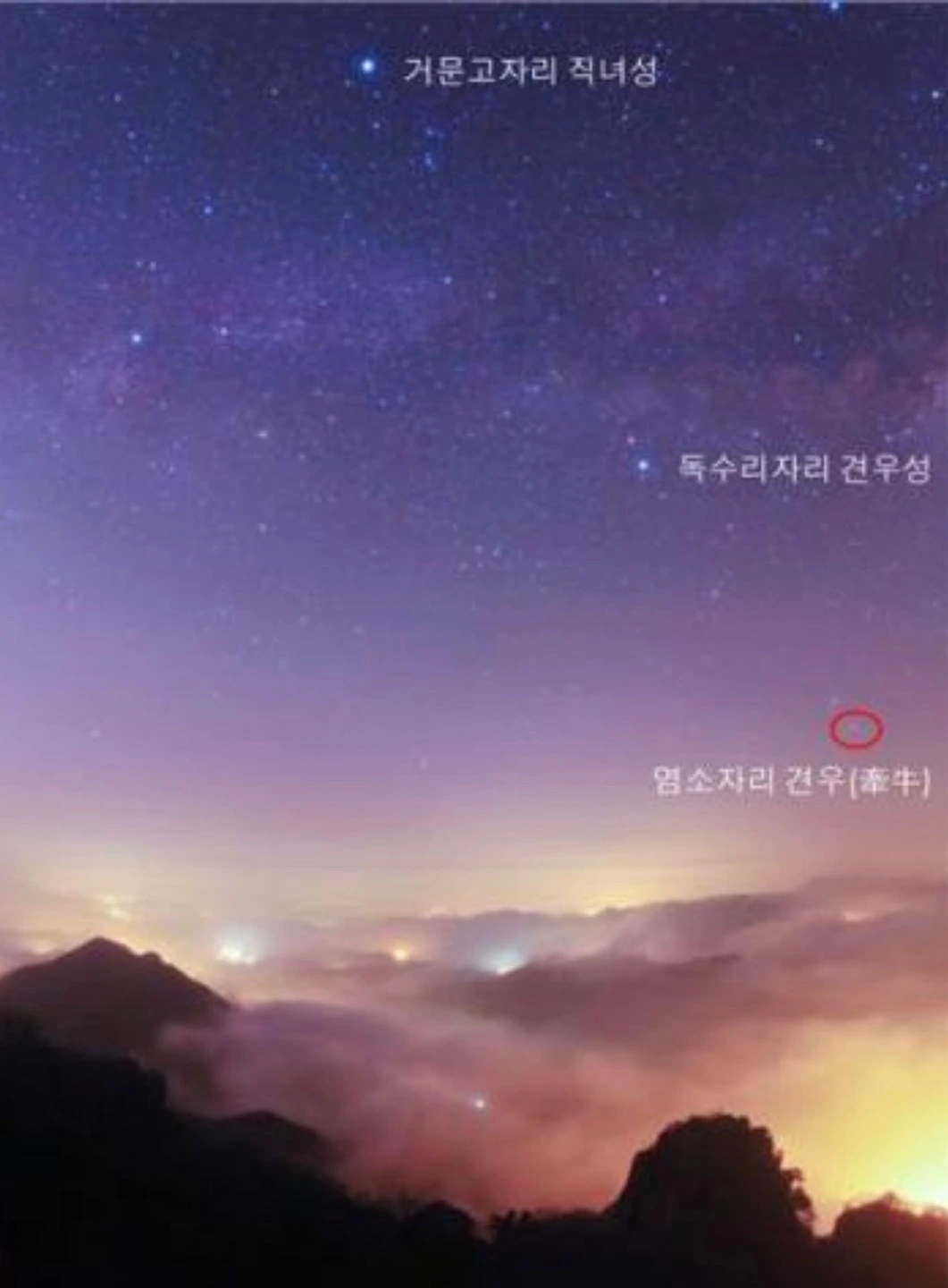 KakaoTalk_Photo_2022-08-04-08-00-19 003.jpeg