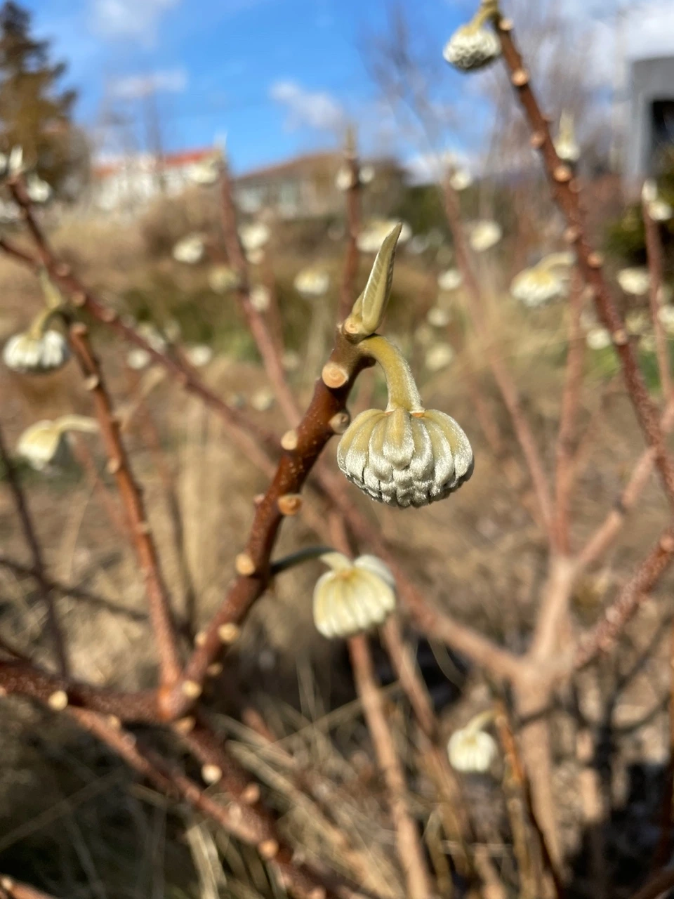 KakaoTalk_Photo_2022-02-07-14-31-30 017.jpeg