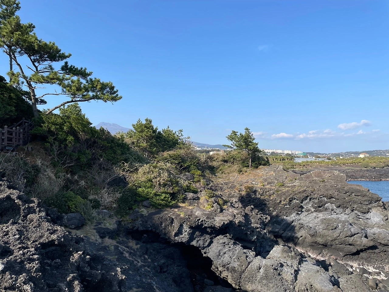 KakaoTalk_Photo_2022-04-06-08-20-49 008.jpeg